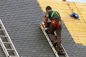 Best Solar Panel Roofing Installation  in London, CA